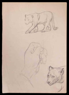 Antique Felines - Drawing in Pencil - Early 20th Century