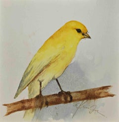 Vintage Yellow Canary - Drawing - Late-20th Century