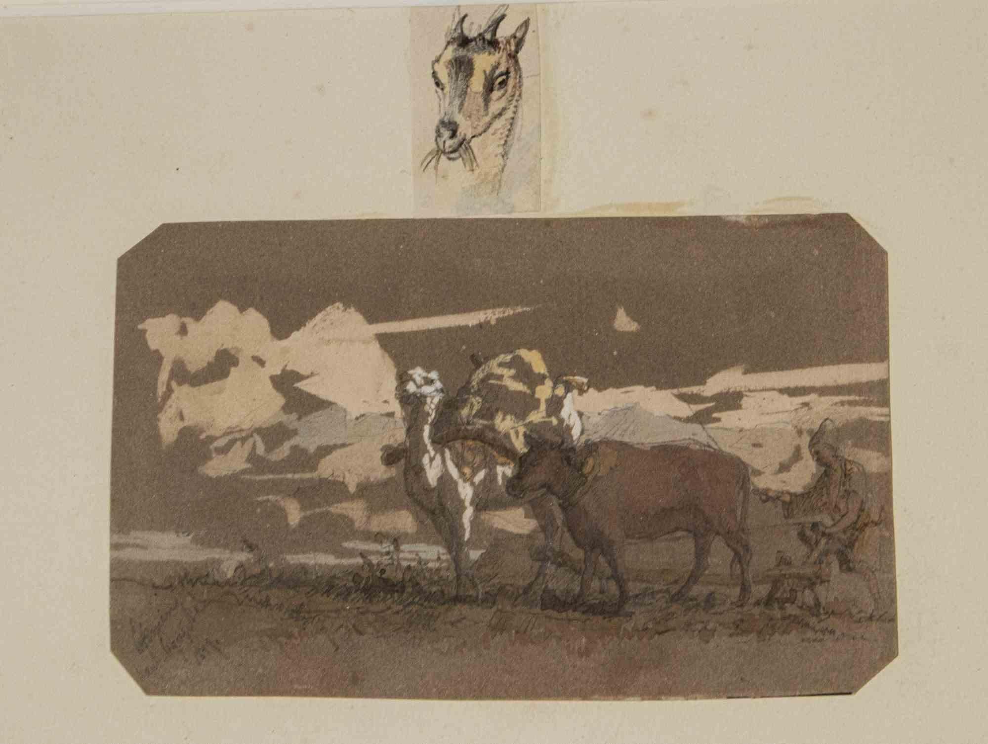 Animals in the Fields  - Ink and Watercolor Drawing - Late 19th century