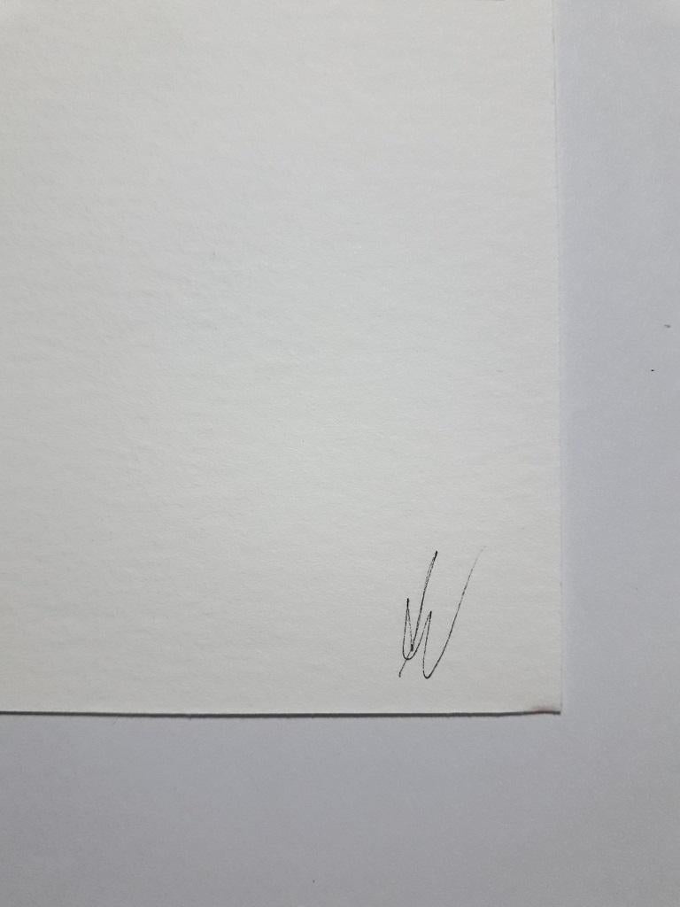 Spinatkrug – Aquarellzeichnung von Antonietta Valente – 2020 im Angebot 2