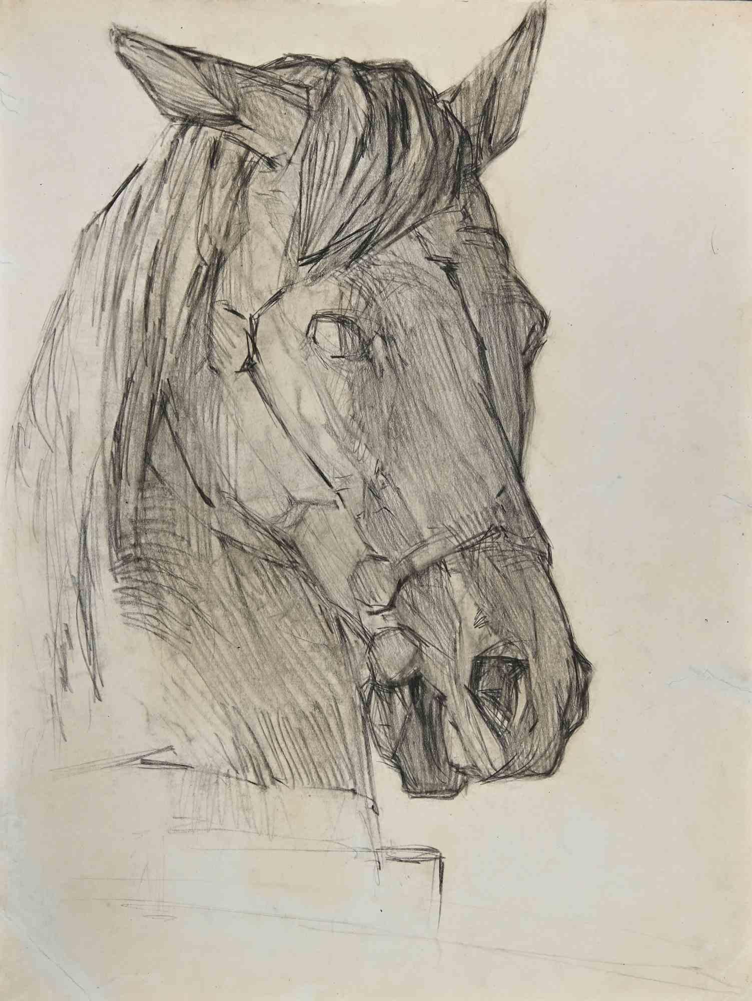 Luigi Galli Figurative Art - Horse's Head - Drawing - Late 19th Century