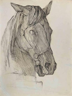 Antique Horse's Head - Drawing - Late 19th Century