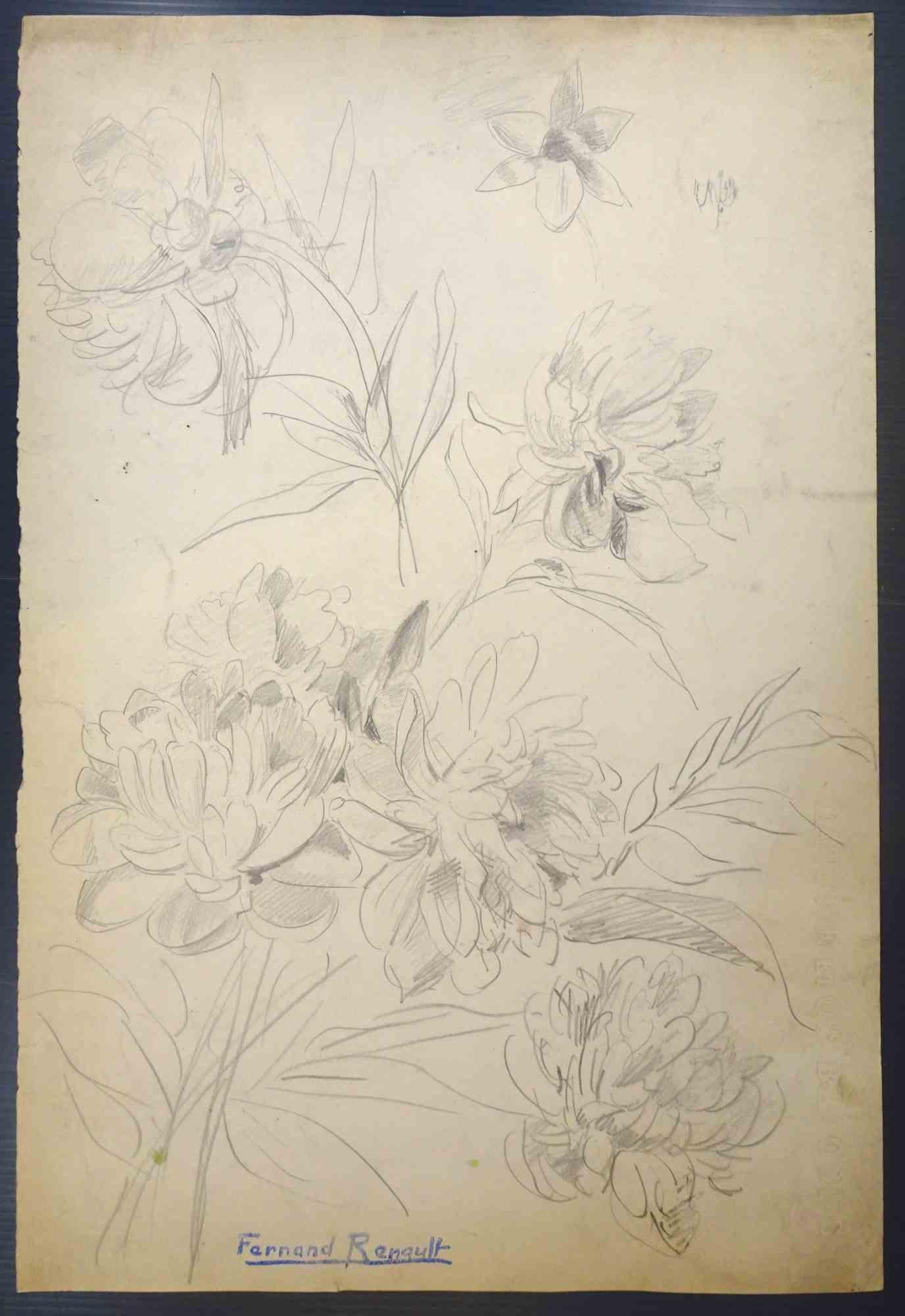 Fleurs - Drawing d'Albert Fernand-Renault - Années 1950