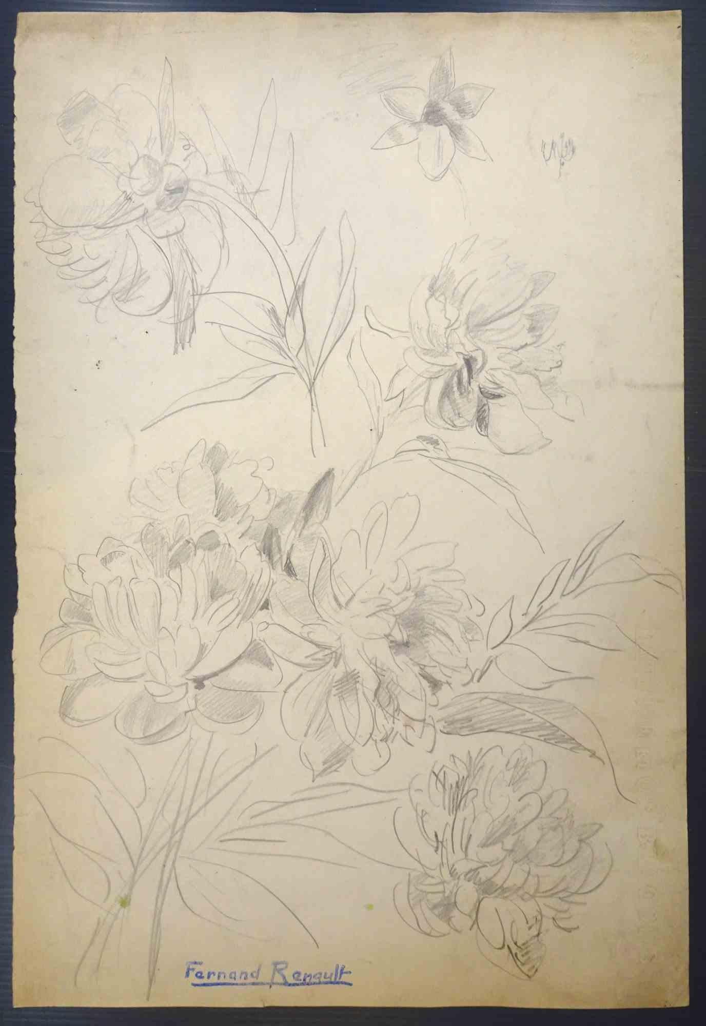 Fiori - Disegno di Albert Fernand-Renault - Anni '50
