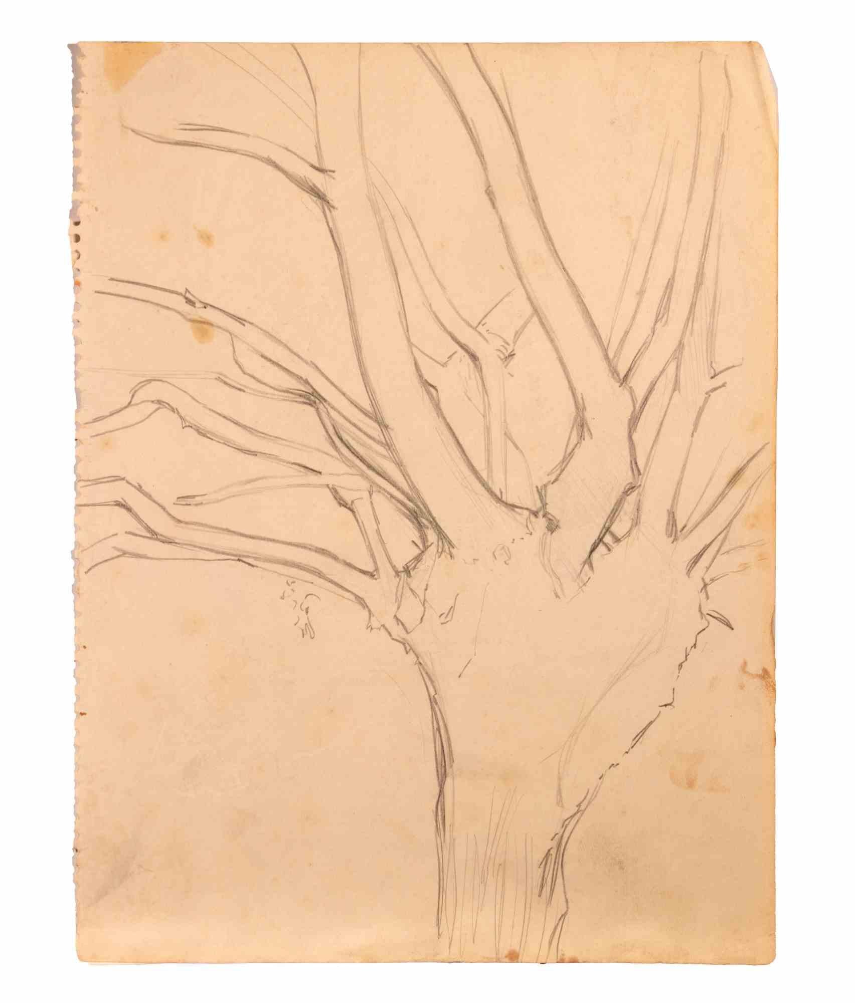 L'arbre est un dessin au crayon réalisé par Reynold Arnould (Le Havre 1919 - Parigi 1980).

Bon état sur une petite feuille de cahier.

Pas de signature.

Reynold Arnould est né au Havre, en France, en 1919. Il a étudié à l'École des Beaux-Arts du