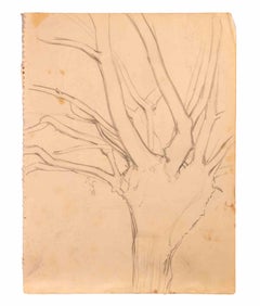 Baum – Zeichnung von Reynold Arnould – 1970