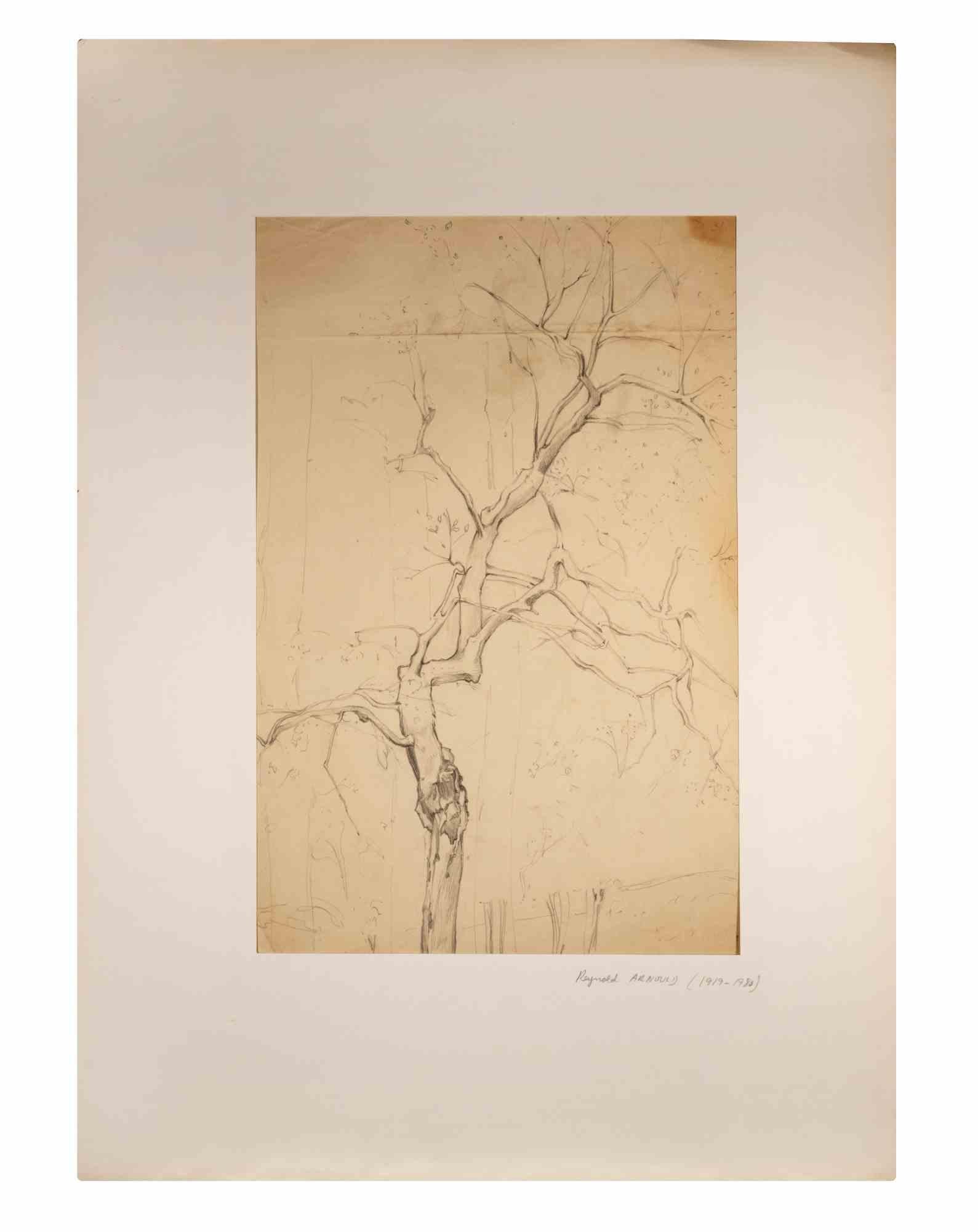 Tree is a Pencil Drawing realized by Reynold Arnould  (Le Havre 1919 - Parigi 1980).

Good condition included a white cardboard passpartout (70x51 cm).

No signature.

Reynold Arnould was born in Le Havre, France in 1919. He studied at l'École des