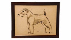 Antique Fox Terrier - Drawing by Sirio Tofanari - 1920s