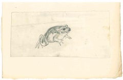 Vintage Frog - Drawing in pencil by Emmanuel Gondouin - 1930s