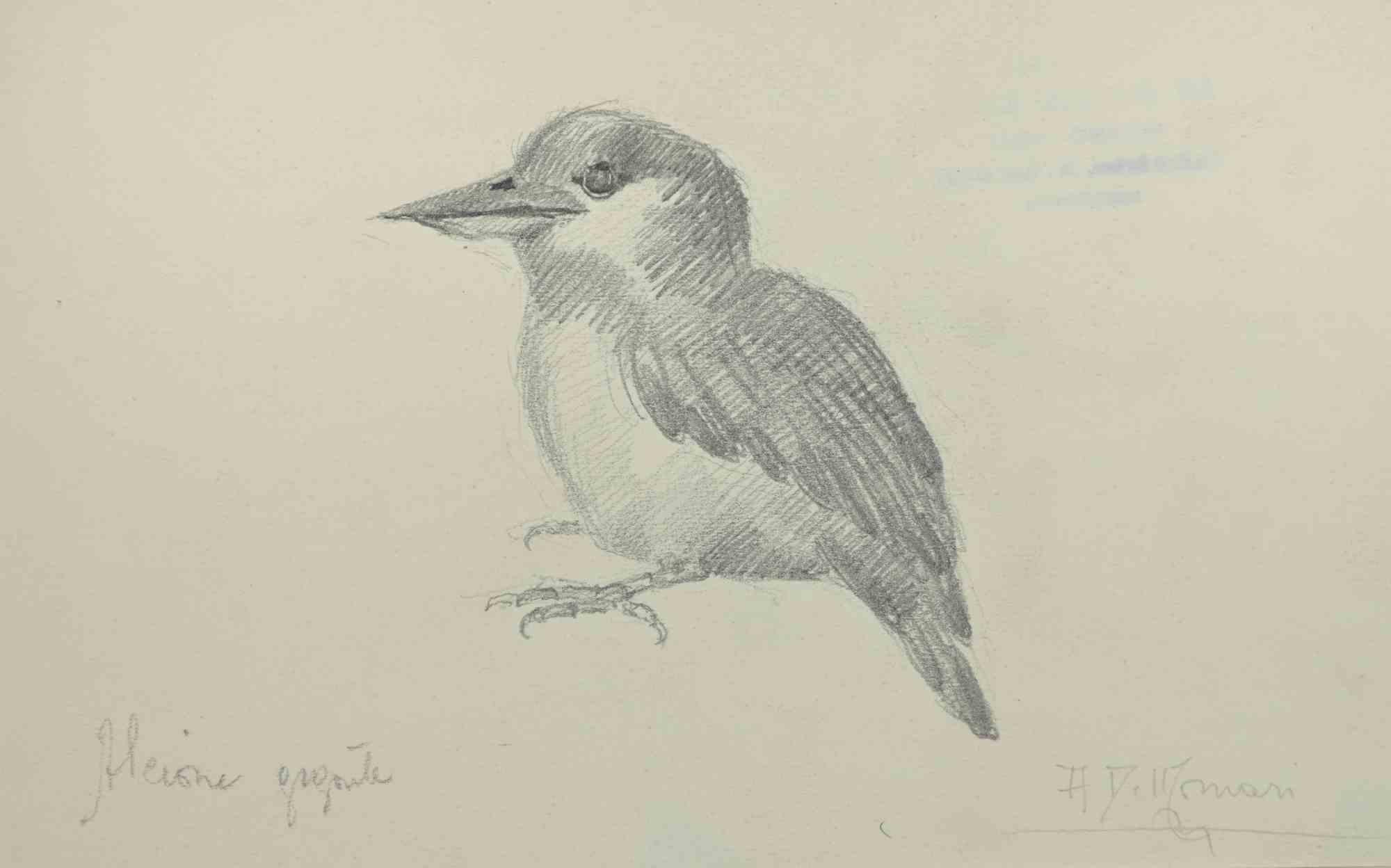 The Bird is a Drawing in pencil realized by  Augusto Monari in the Early-20th Century.

Hand-signed on the lower.

Good conditions, including a creamy-colored Passepartout.

The artwork is depicted through confident strokes in a well-balanced