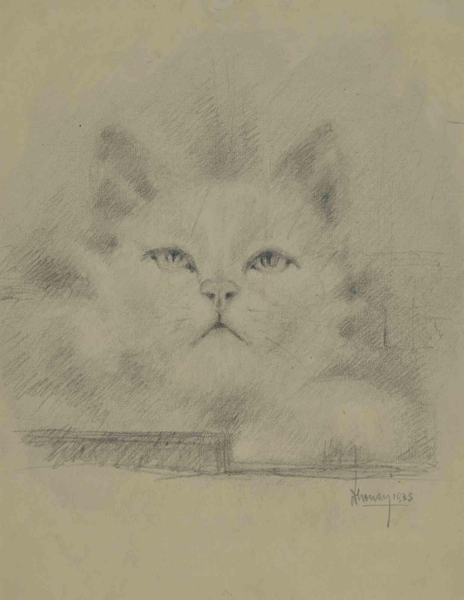 The Kitten is a Drawing in pencil realized by Augusto Monari in the Early-20th Century.

Hand-signed on the lower.

Good conditions, including a creamy-colored Passepartout.

The artwork is depicted through confident strokes in a well-balanced