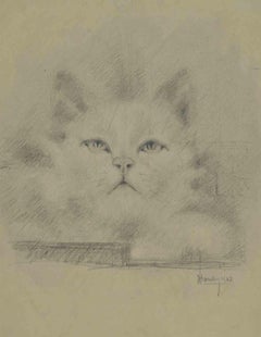 Antique The Kitten - Drawing by Augusto Monari - Early 20th Century