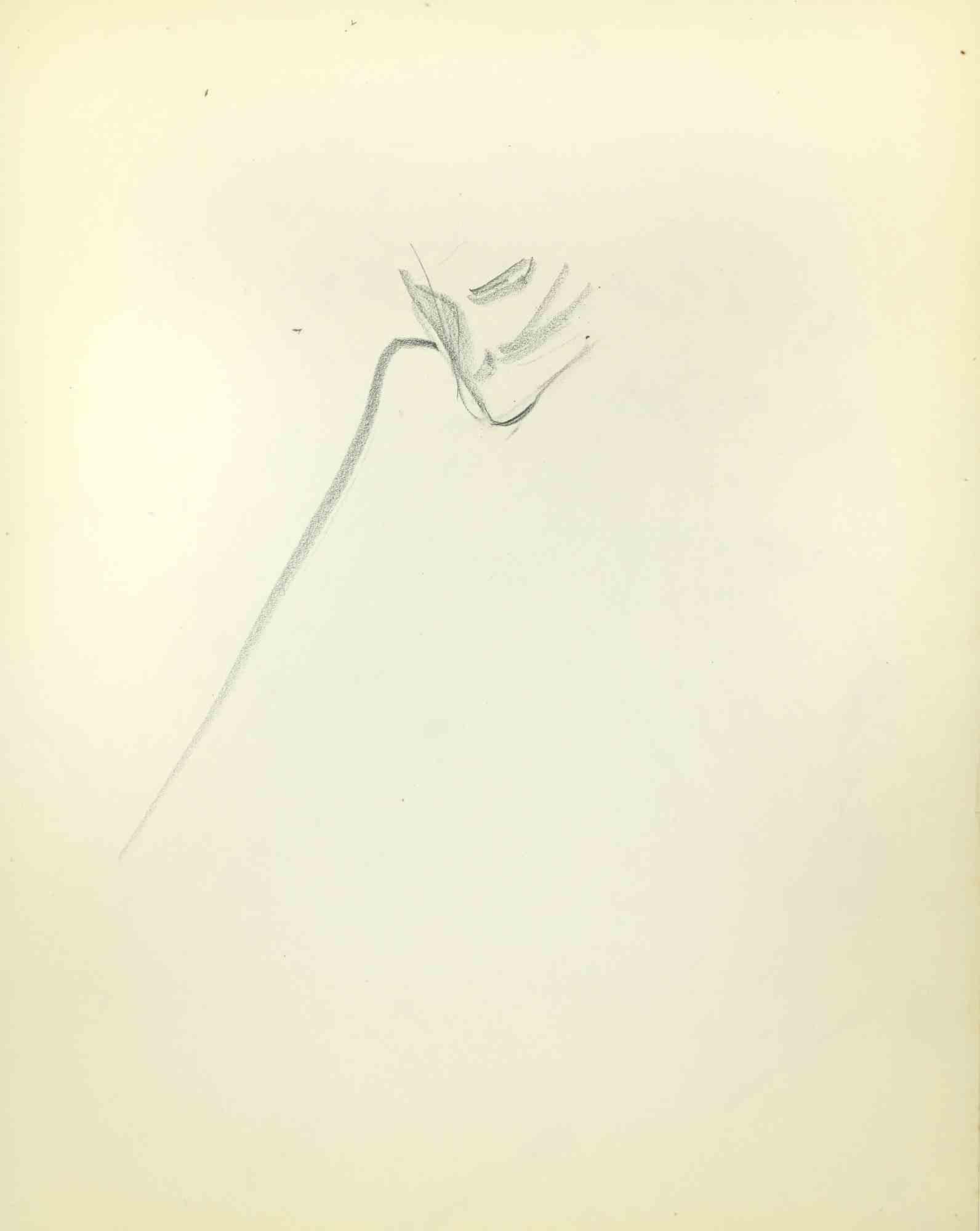 Esquisse d'un portrait - Dessin de Flor David - Milieu du XXe siècle