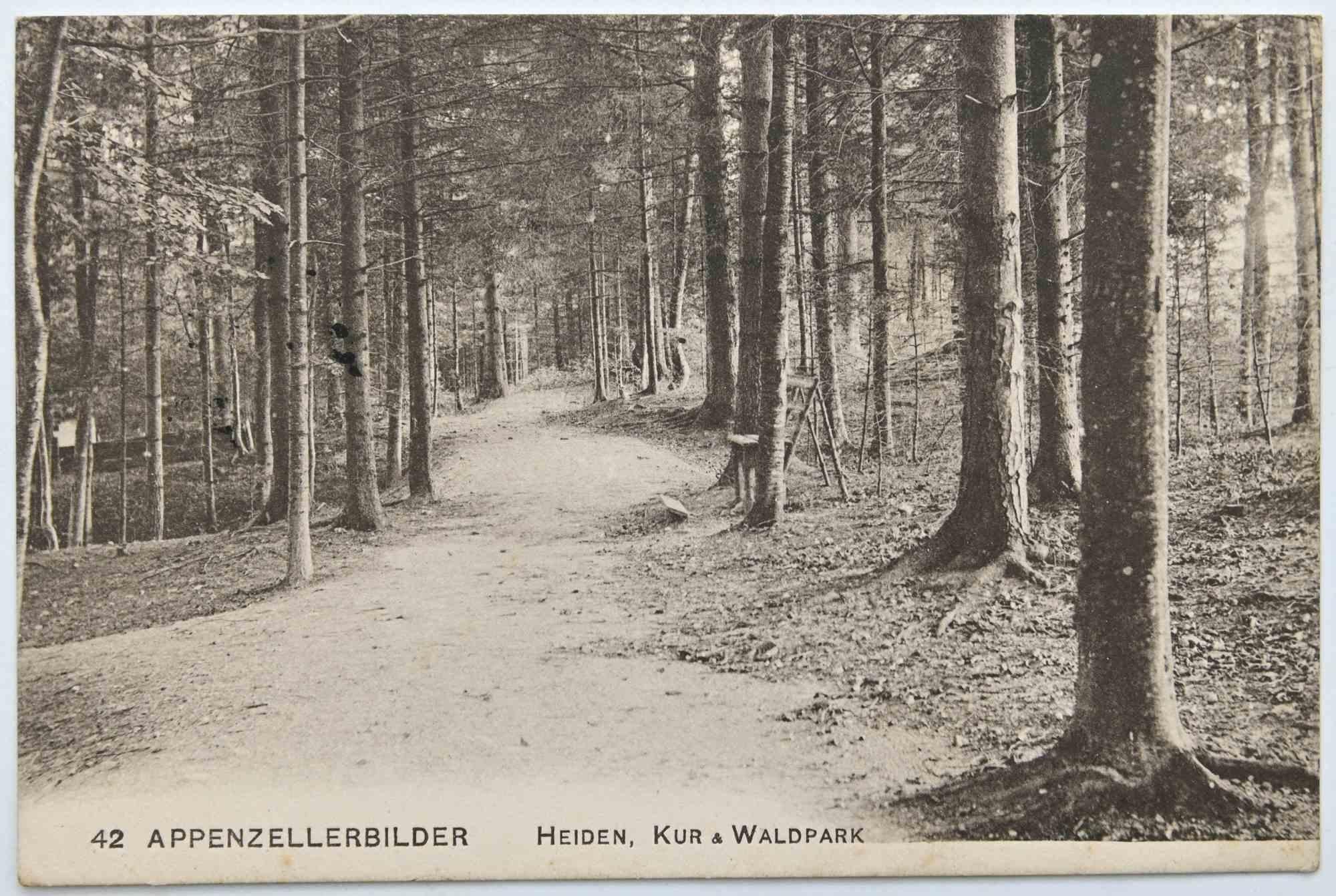 Affiche vintage d'Appenzellerbilder, Heiden, Kur & Waldpark - 1957