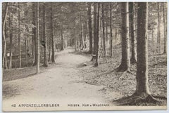 Vintage-Postcard von Appenzellerbilder, Heiden, Kur & Waldpark, 1957