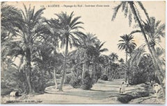  Vintage postcard of Algérie, Paysage du Sud - 1955