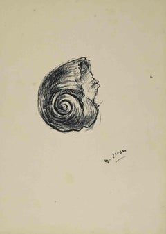 The Shell - Drawing by Alberto Ziveri - 1930s