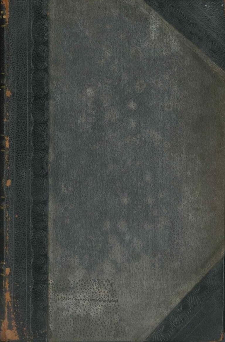 Garibaldi. Sa vie, ses aventures... - Rare Book by Philippe Bordone - 1878 - Modern Art by  Philippe Toussaint Joseph Bordone