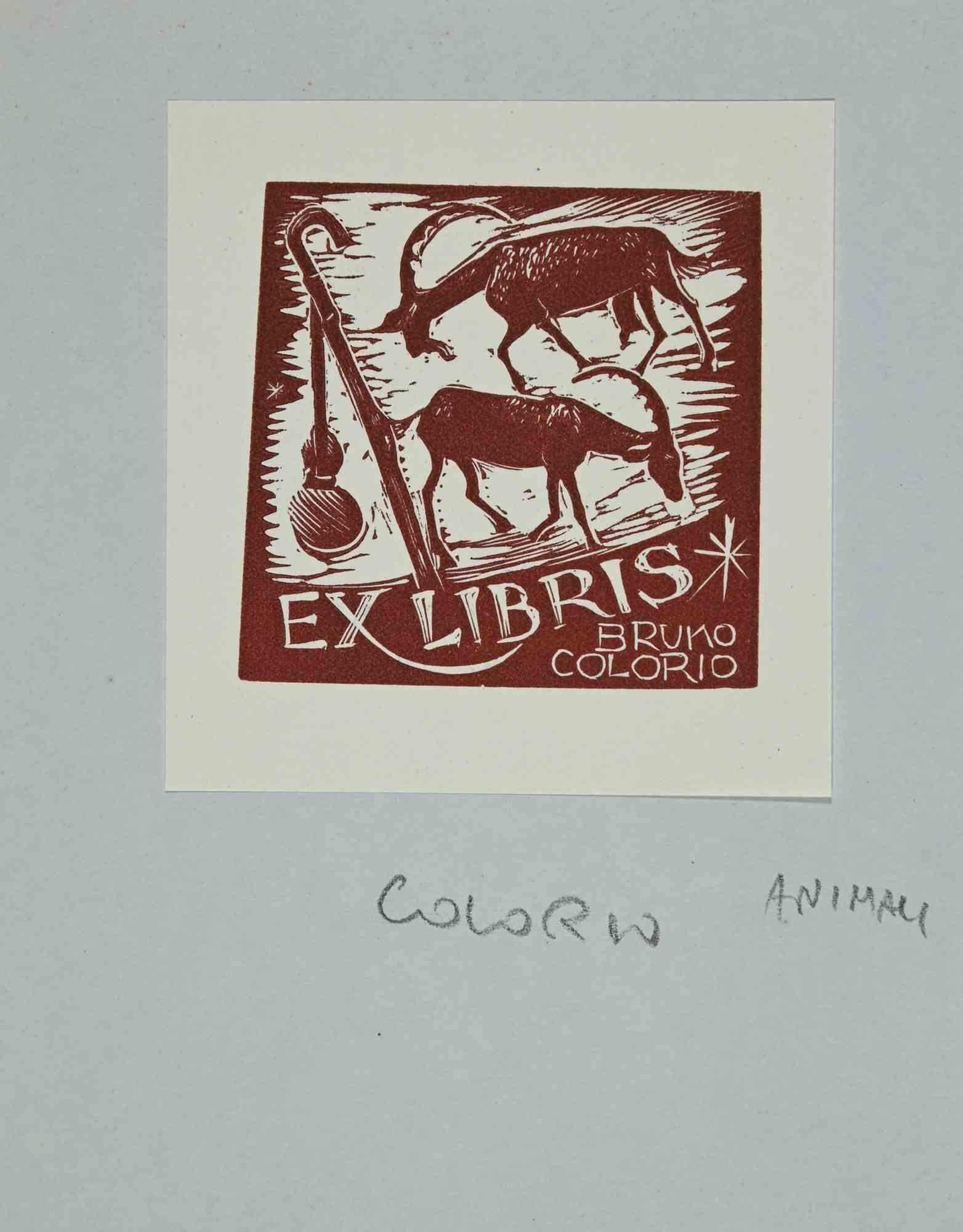 Ex libris - Bruno Colorio is an Artwork realized in 1946,  by the Artist Bruno Colorio , from Italy. 

Woodcut print on ivory paper.  Signed on plate and dated on back. The work is glued on colored cardboard.

Total dimensions: 20x15 cm.

Good