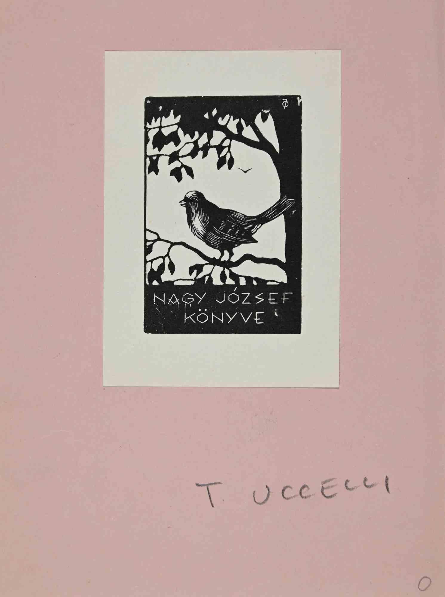 Ex libris - Nagy József Könyve ist ein Kunstwerk des ungarischen Künstlers Istvàn Olàh aus dem Jahr 1932. 

Holzschnitt auf Elfenbeinpapier.  Signiert auf der Platte und datiert auf der Rückseite. Das Werk ist auf rosa Karton geklebt.

Abmessungen