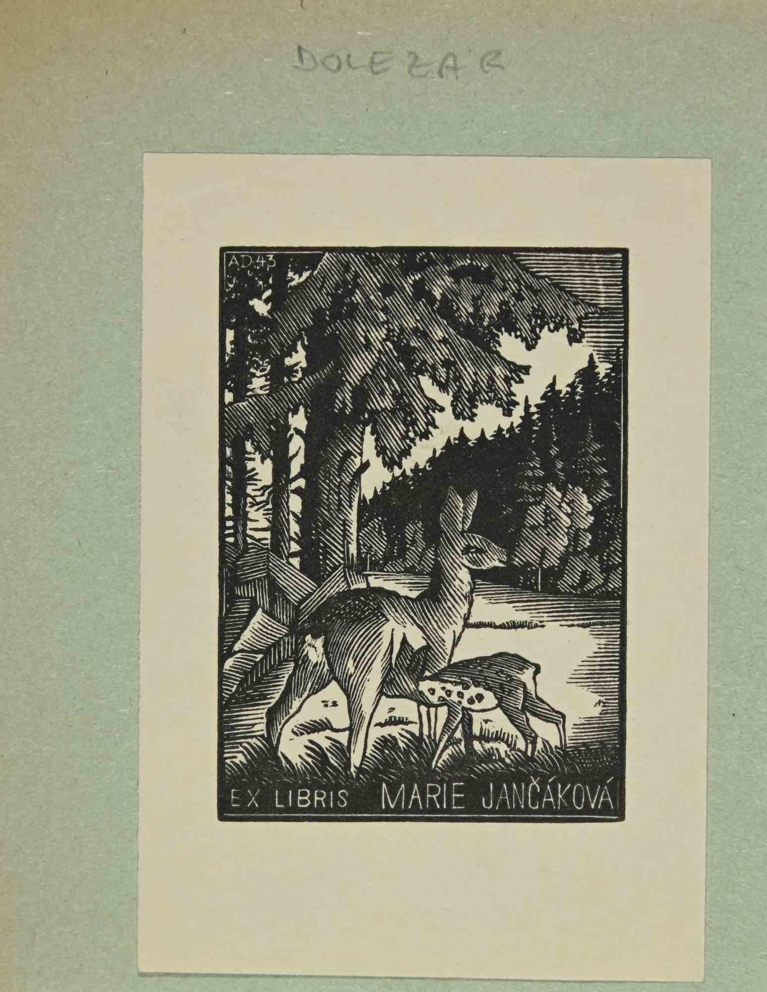Ex libris - Marie Jancáková is an Artwork realized in Mid 20th Century, by the Artist A. Dolezar. 

Woodcut print on ivory paper. Hand signed on back. The work is glued on green cardboard.

Total dimensions: 12x10 cm.

Good conditions.

The artist