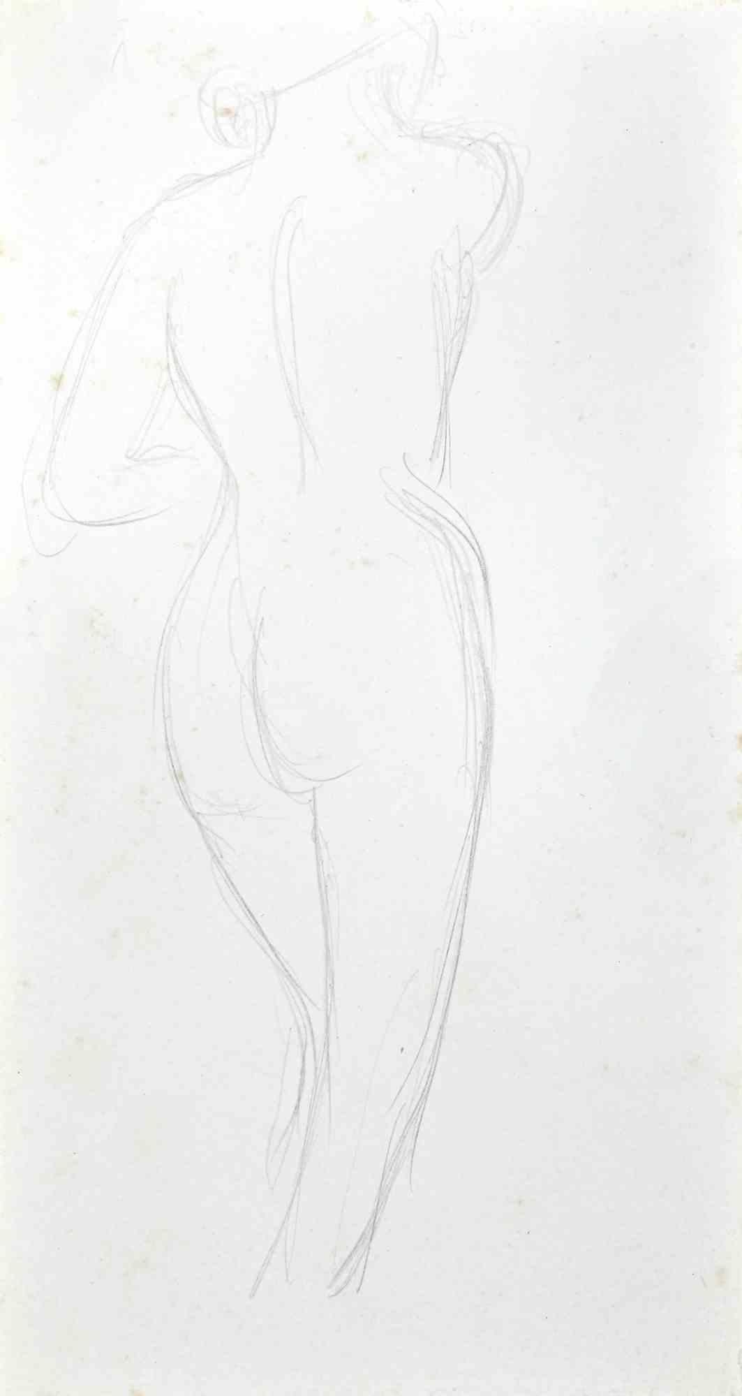 Unknown Figurative Art - The Posing Nude  from Back - Pencil Drawing - Early 20th Century