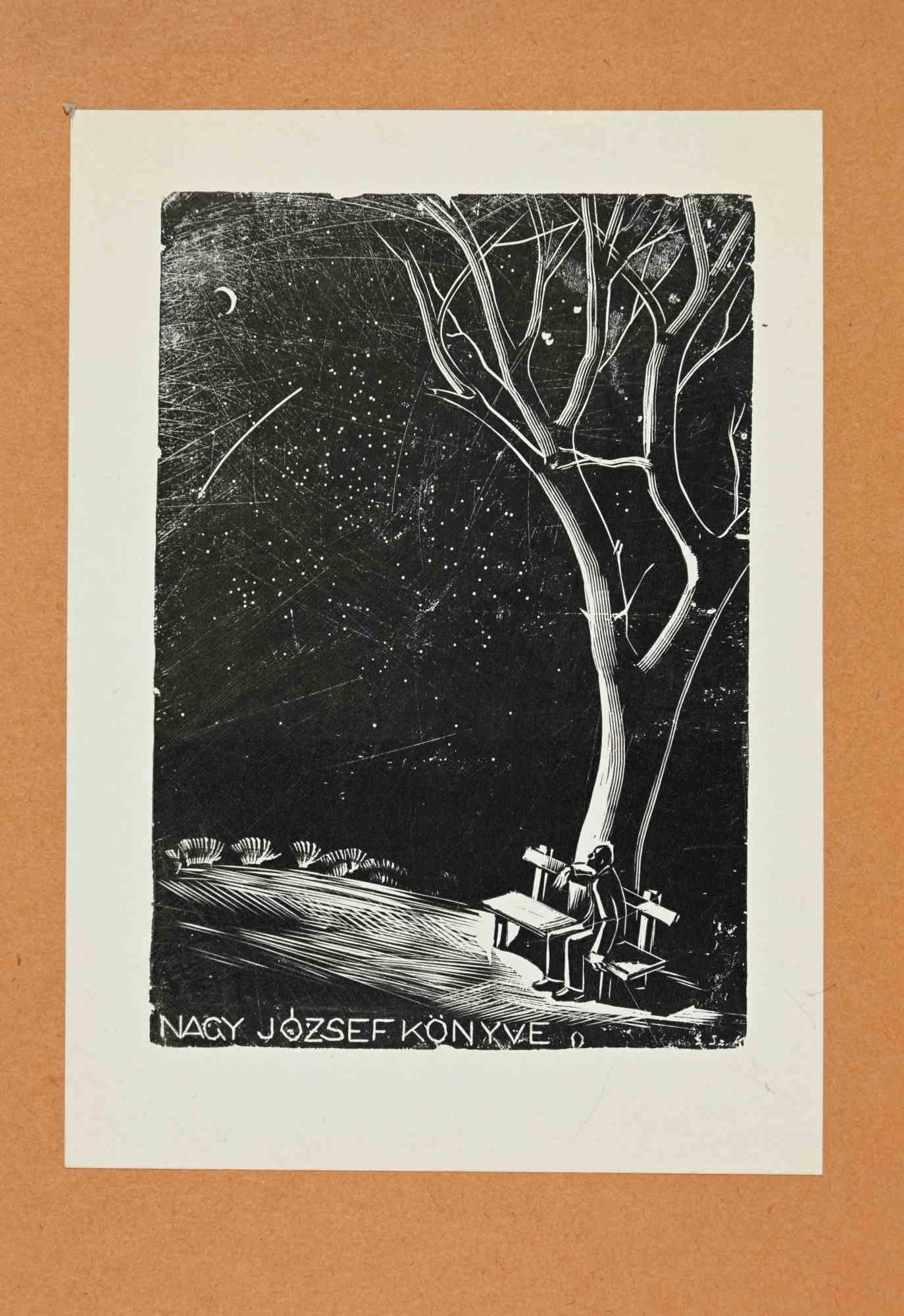 Ex libris - Nagy József Könyve ist ein in den 1930er Jahren entstandenes Kunstwerk des ungarischen Künstlers Kálmán Gáborjáni Szabó (1897-1955). 

Holzschnitt B./W. Druck auf Papier. Das Werk ist auf orangefarbenen Karton