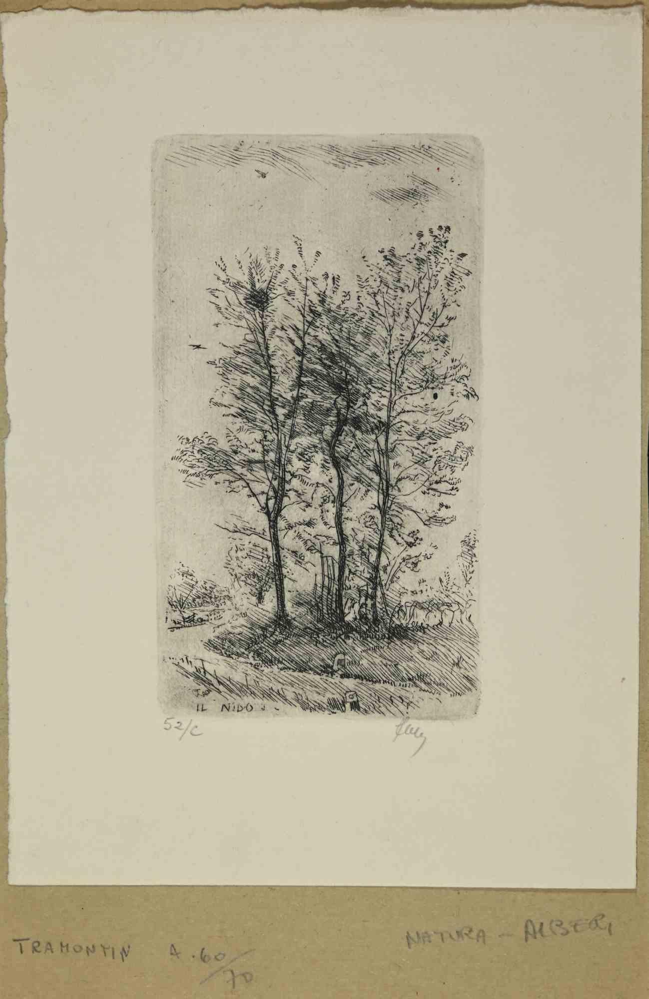 Ex-Libris  - Il Nido - Woodcut - Mid 20th Century - Art by Unknown