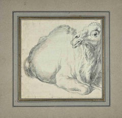 Camel - Drawing by follower of Stefano Della Bella - 18th Century