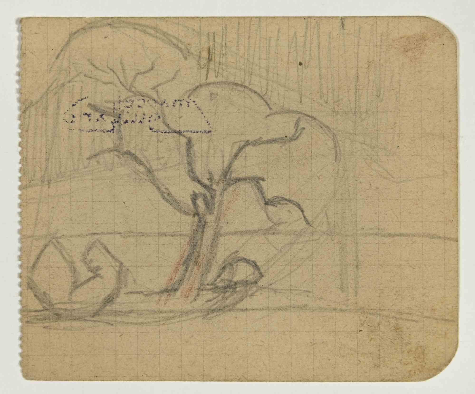Baum ist eine Bleistiftzeichnung von Marcel Guillard (1896-?) aus dem frühen 20. Jahrhundert.


