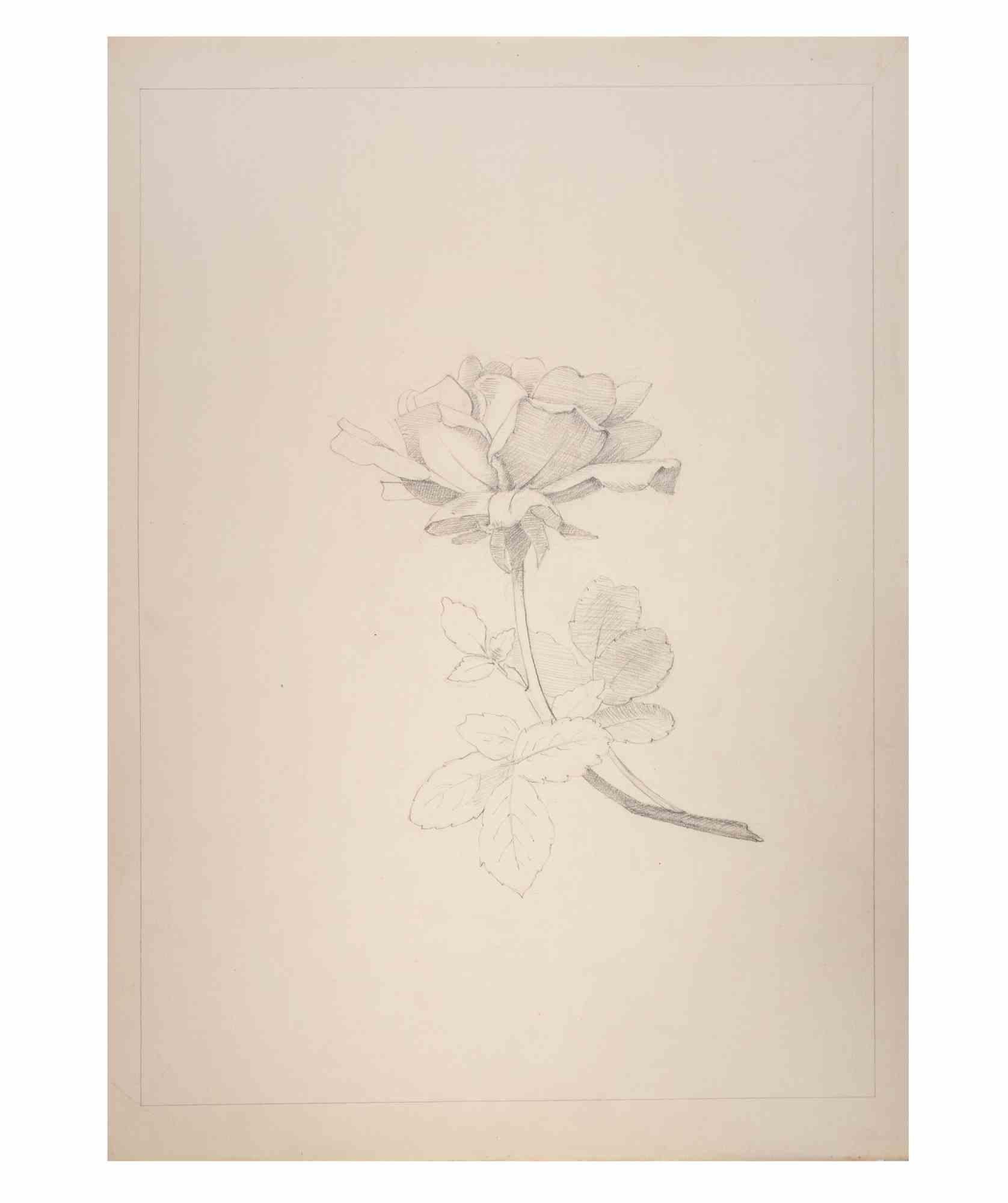 Rose is an Artwork realized by the Italian Artist Aurelio Mistruzzi in 1905.

Drawing on paper.

Good conditions.

Aurelio Mistruzzi (1880-1960) studied at the Udine Art School, having classes with the Sculptor De Paoli. He moved to Venice to study