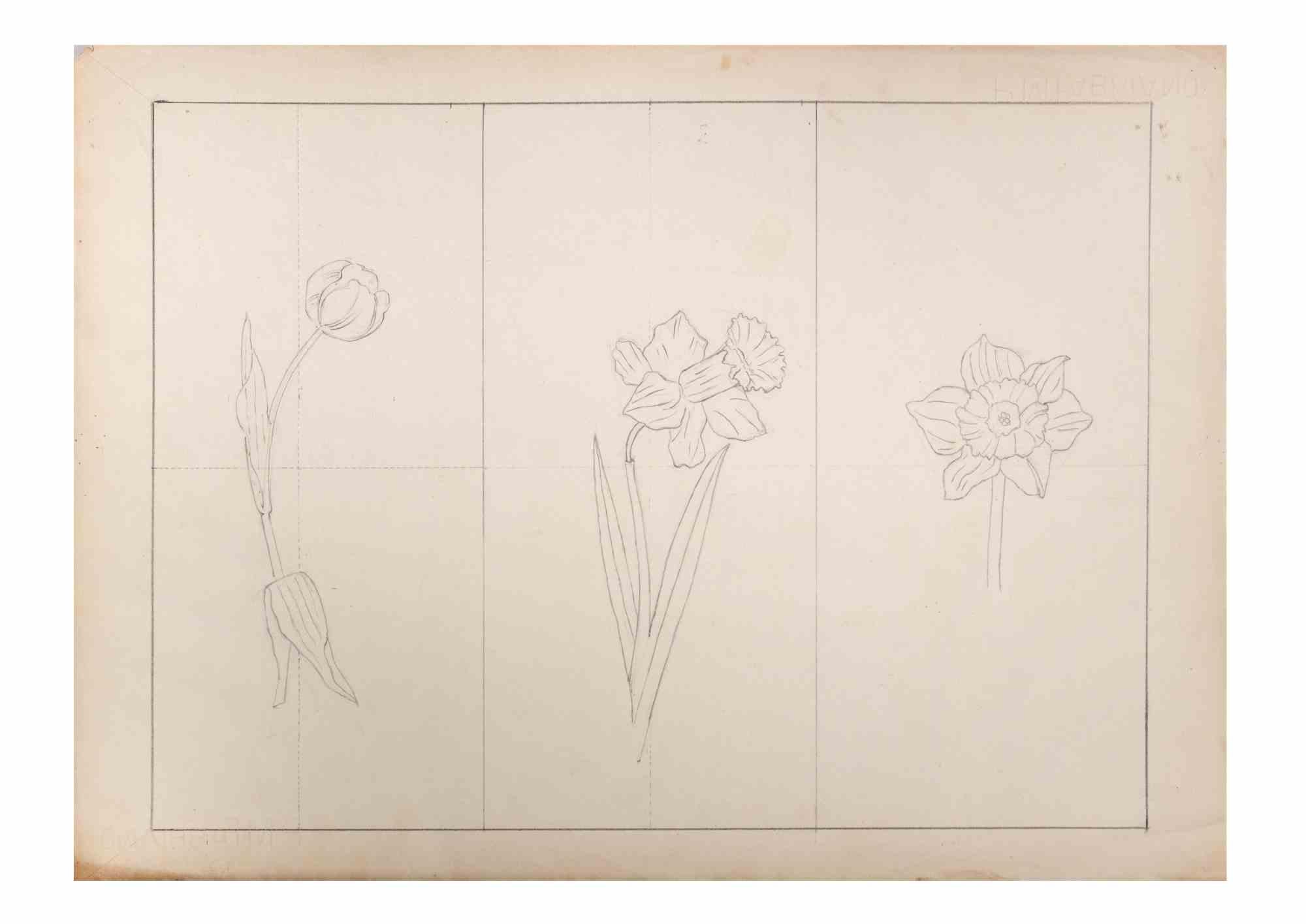 Jonquils is an Artwork realized by the Italian Artist Aurelio Mistruzzi in 1905.

Pencil Drawing on paper .

Good conditions.

Aurelio Mistruzzi (1880-1960) studied at the Udine Art School, having classes with the Sculptor De Paoli. He moved to