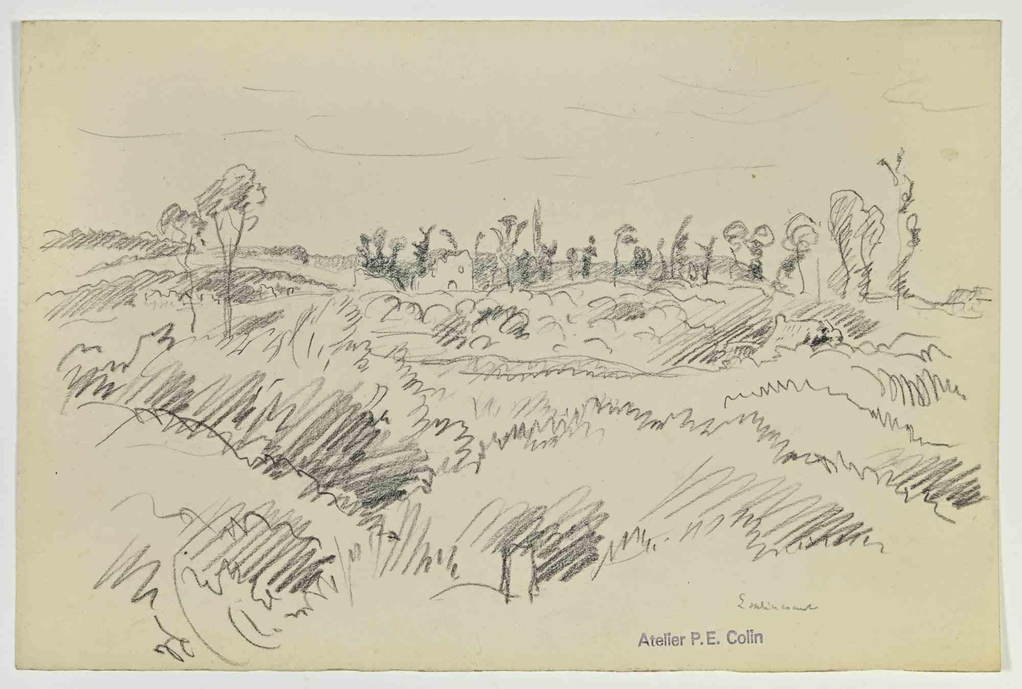 Landscape is a drawing realized by Paul Emile Colin in the Early 20th Century.

Carbon Pencil on ivory-colored paper

Stamped on the lower.

Good conditions with slight foxing.

The artwork is realized through deft expressive strokes.