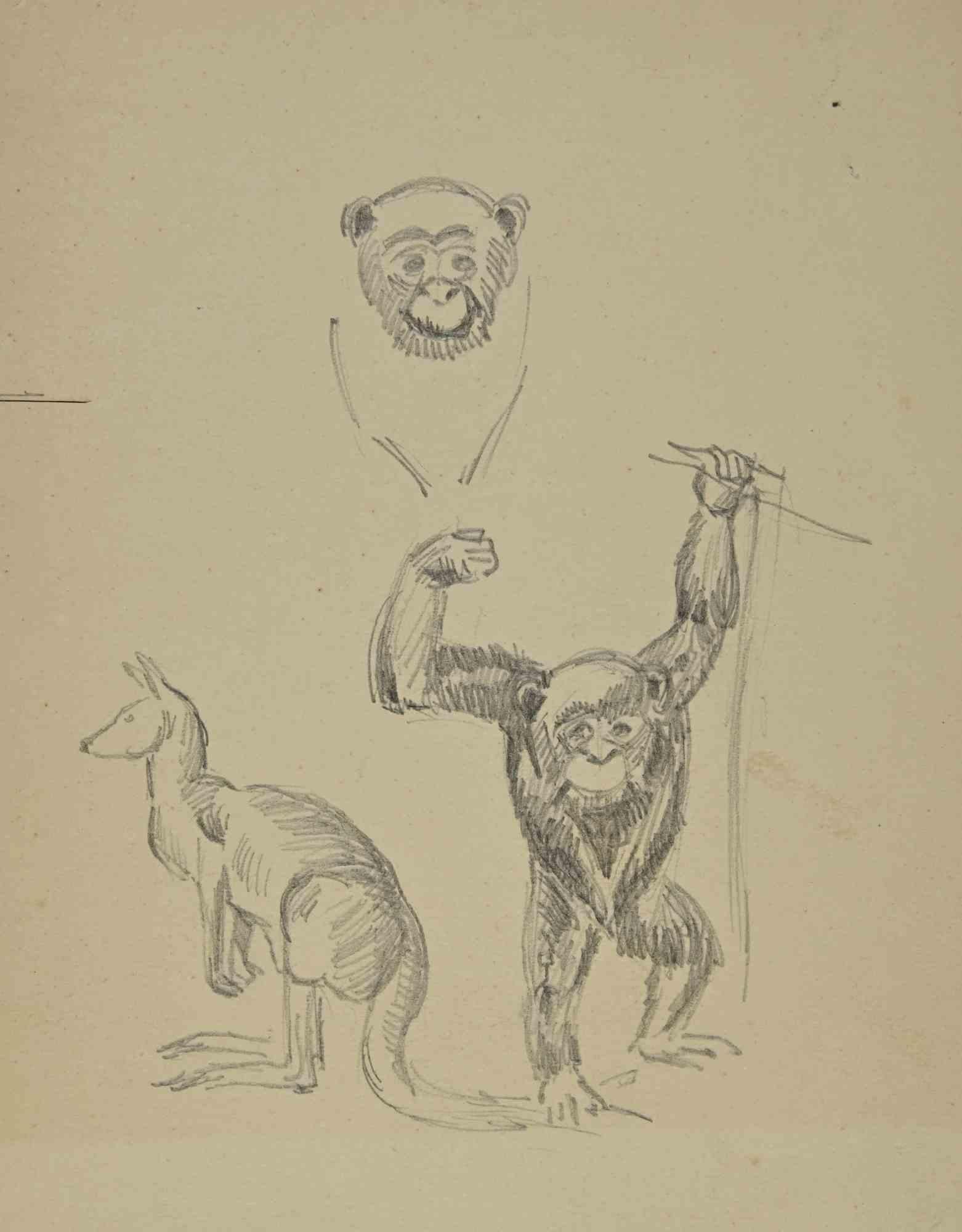 Monkeys - Drawing by Joseph Alexander Colin - Mid-20th Century
