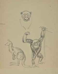 Affen – Zeichnung von Joseph Alexander Colin – Mitte des 20. Jahrhunderts