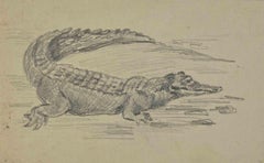 Krokodil – Zeichnung von Joseph Alexander Colin – Mitte des 20. Jahrhunderts