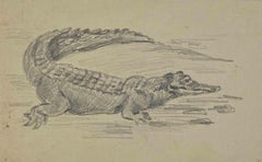 Crocodile - Drawing by Joseph Alexander Colin - Mid-20th Century