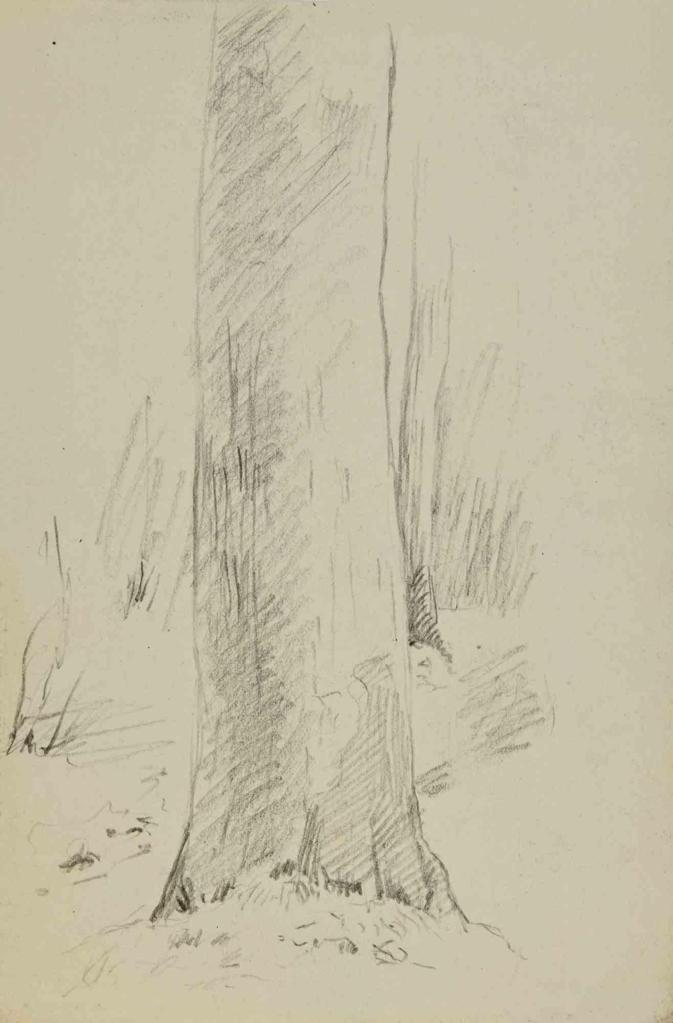 Trunk is a drawing realized in the Mid-20th Century.

Pencil ivory-colored paper.

Good conditions with slight foxing.

The artwork is realized through deft expressive strokes.