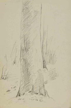 Trunk - Drawing by Joseph Alexander Colin - Mid-20th Century