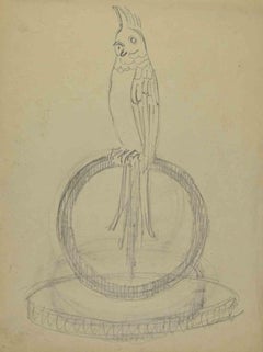 Papagei – Zeichnung von Joseph Alexander Colin – Mitte des 20. Jahrhunderts