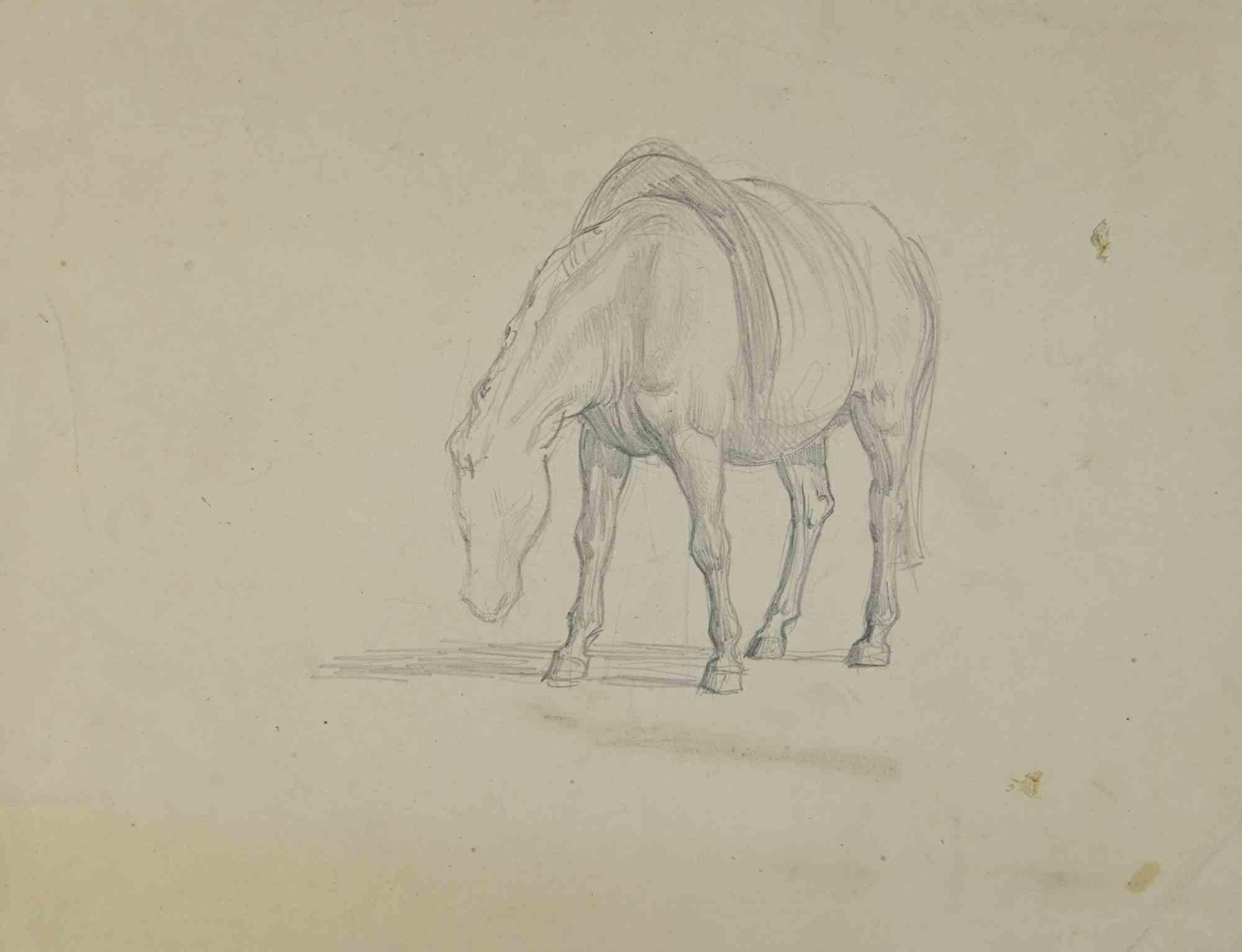 Horse is a drawing realized by Joseph Colin in the Mid-20th Century.

Pencil on ivory-colored paper

Good conditions with slight foxing.

The artwork is realized through deft expressive strokes.