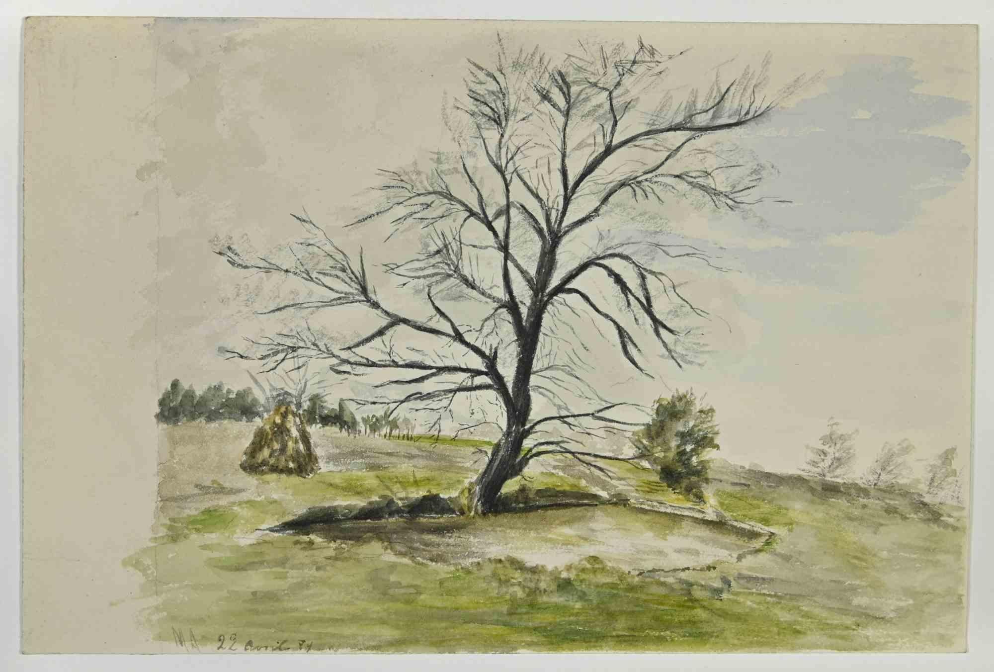 Sole Tree is a drawing realized by Mareal Abougit (1903-1985) in 1974.

Pencil, pastel and watercolor on paper.

Hand-signed and dated on the lower left.

Good conditions with slight foxing.

The artwork is realized through beautiful and delicate