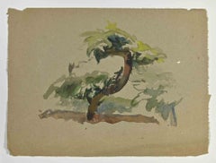 Sole Tree - Dessin de Marcel Guillard - Début du 20e siècle