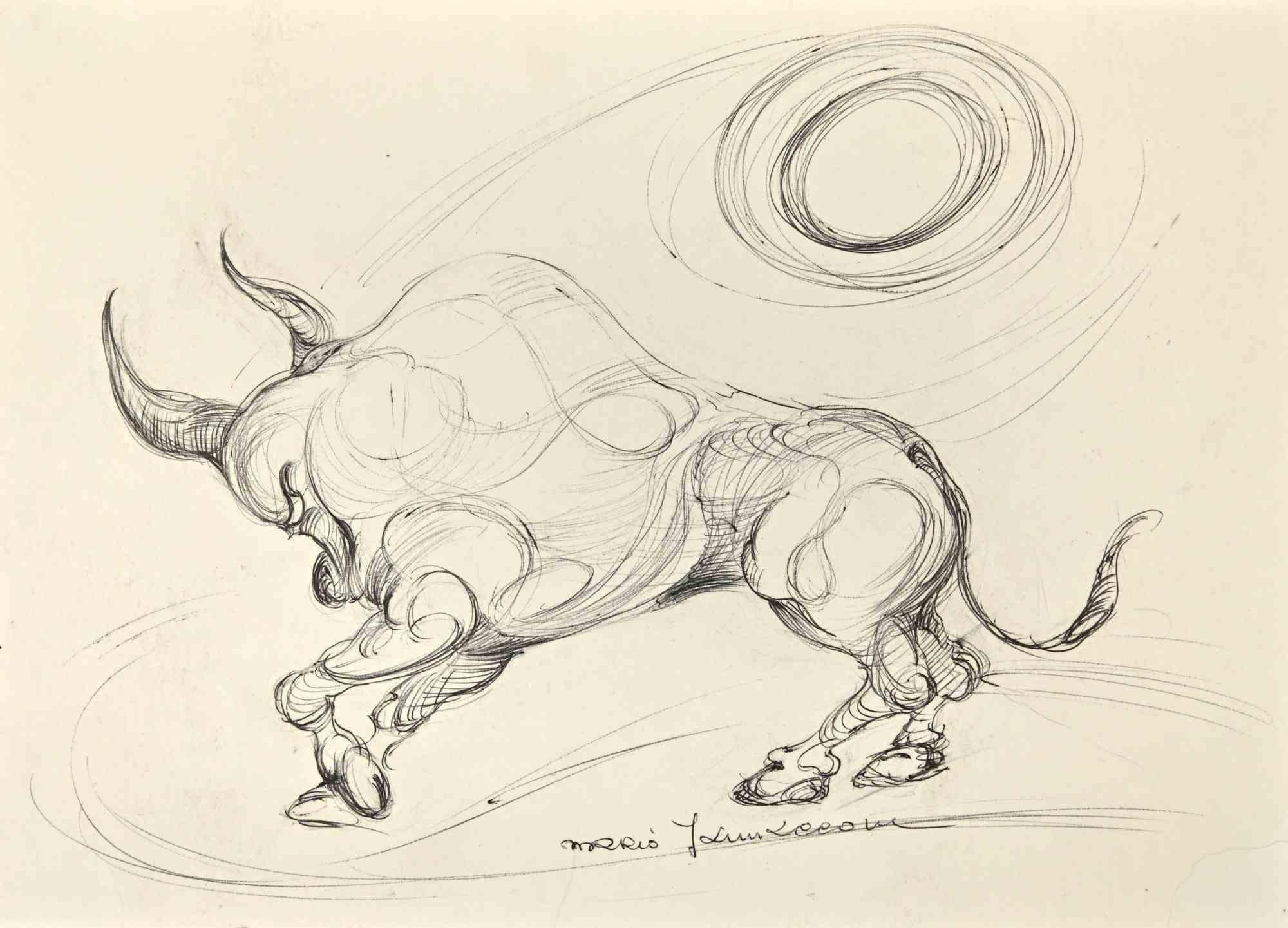 Bull - Drawing by Mario Jannaccone - 1970s