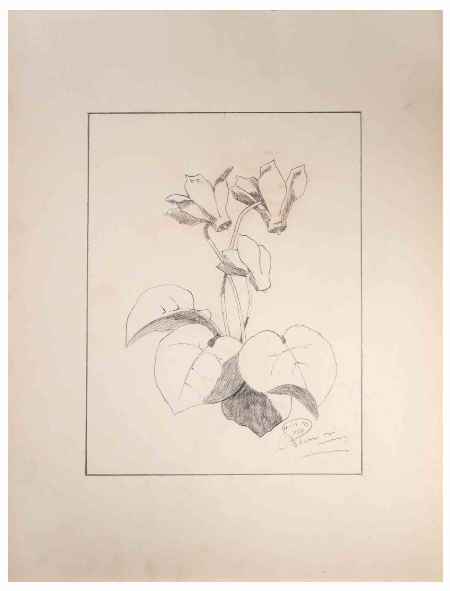 Impianto - Disegno - 1939
