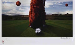 Amante del gioco - Foto di Matteo Basilé - 2008