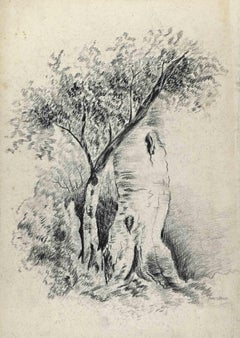 Trees - Drawing - 19th Century