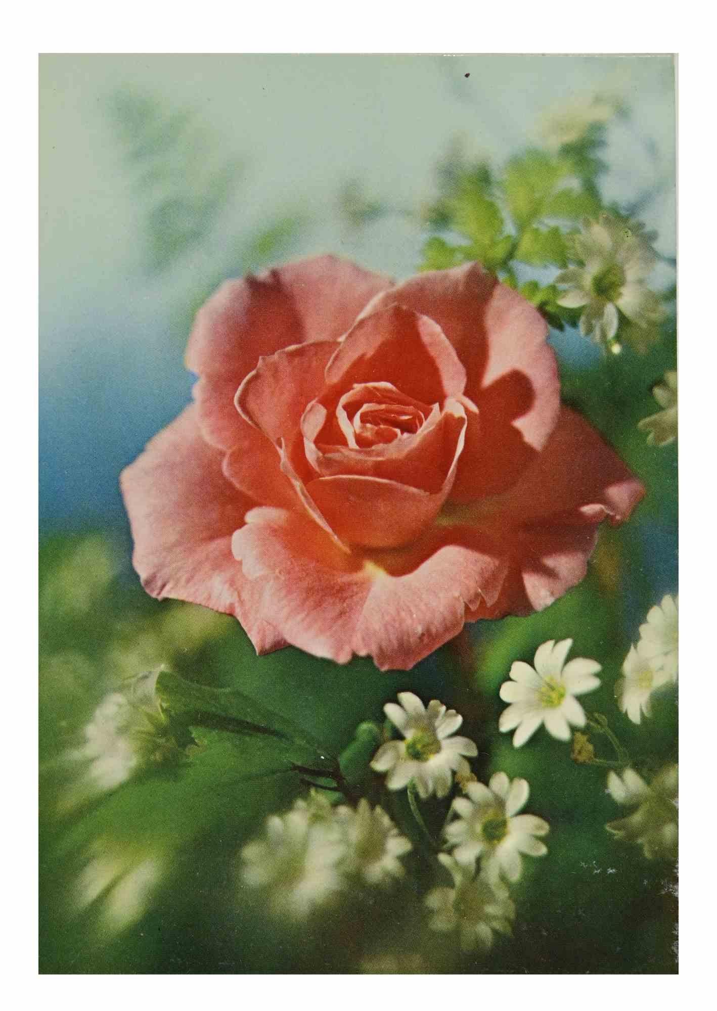 Hand Written Postcard by Loretta Young - 1970s For Sale 1