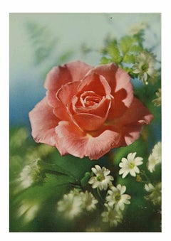 Postcard écrite à la main par Loretta Young - 1970