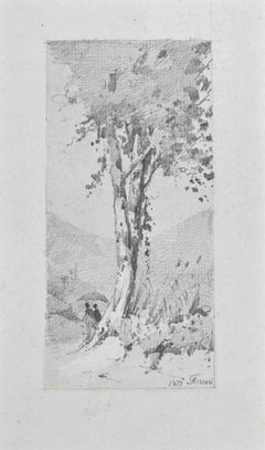 Used The Big Tree - Drawing by Carlo Ferrari - 1899